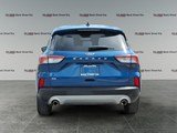 2022 Ford Escape SE FWD image 4