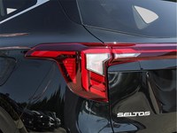 2025 Kia Seltos EX AWD