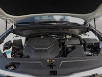 2025 Kia Telluride SX Limited AWD w/Mahogany Interior