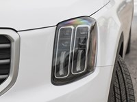 2025 Kia Telluride SX Limited AWD w/Mahogany Interior