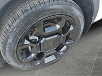 2025 Kia Sorento X-Line Limited AWD w/Olive Brown Interior