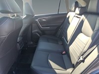 2025 Toyota RAV4 XLE AWD