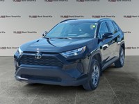 2024 Toyota RAV4 XLE AWD