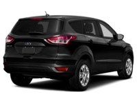 2013 Ford Escape SEL Exterior Shot 2