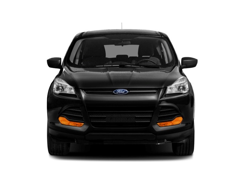 2013 Ford Escape SEL Exterior Shot 6