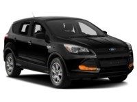 2013 Ford Escape SEL Exterior Shot 9