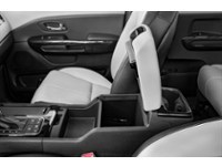 2015 Kia Sedona SXL Interior Shot 7