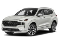 2021 Hyundai Santa Fe Ultimate Calligraphy AWD Exterior Shot 1