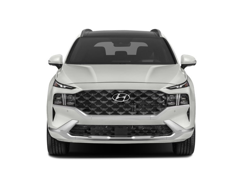 2021 Hyundai Santa Fe Ultimate Calligraphy AWD Exterior Shot 5