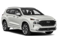 2021 Hyundai Santa Fe Ultimate Calligraphy AWD Exterior Shot 8