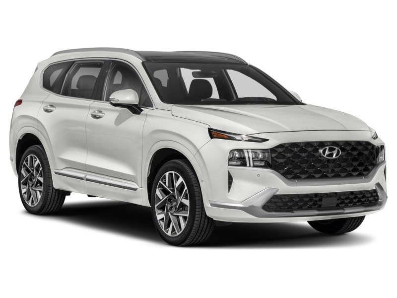 2021 Hyundai Santa Fe Ultimate Calligraphy AWD Exterior Shot 8