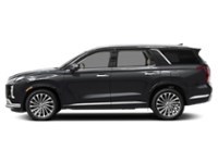 2024 Hyundai Palisade Ultimate Calligraphy w/Beige Interior Exterior Shot 6