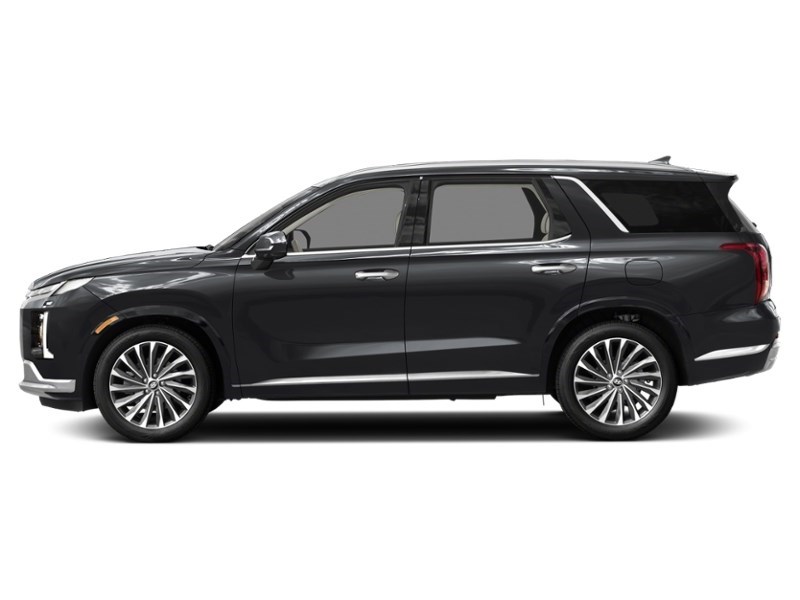 2024 Hyundai Palisade Ultimate Calligraphy w/Beige Interior Exterior Shot 6