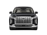 2024 Hyundai Palisade Ultimate Calligraphy w/Beige Interior Exterior Shot 5