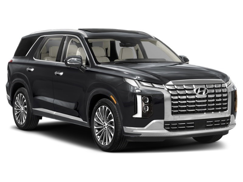 2024 Hyundai Palisade Ultimate Calligraphy w/Beige Interior Exterior Shot 8