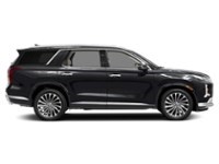 2024 Hyundai Palisade Ultimate Calligraphy w/Beige Interior Exterior Shot 10