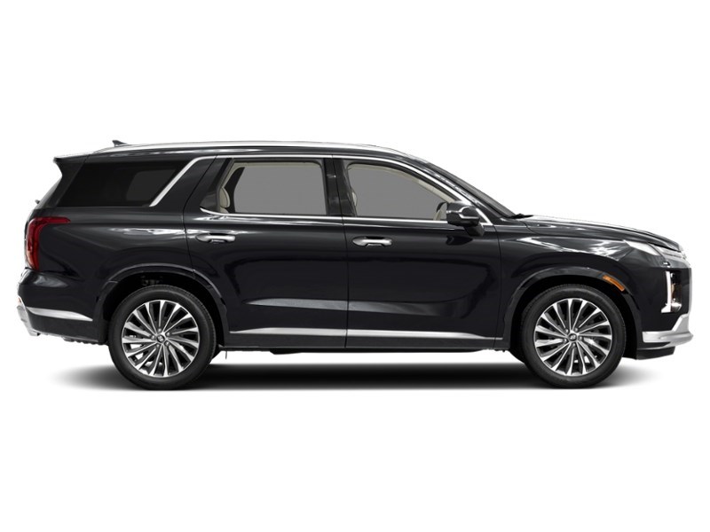 2024 Hyundai Palisade Ultimate Calligraphy w/Beige Interior Exterior Shot 10