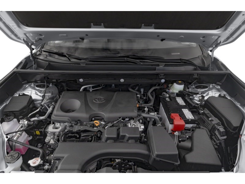 2025 Toyota RAV4 XLE Exterior Shot 3