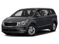 2015 Kia Sedona LX Graphite Metallic  Shot 19