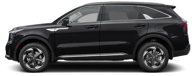 Aurora Black Pearl [Black]
