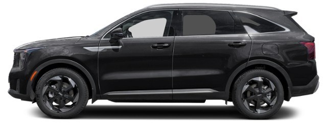 Aurora Black Pearl [Black]