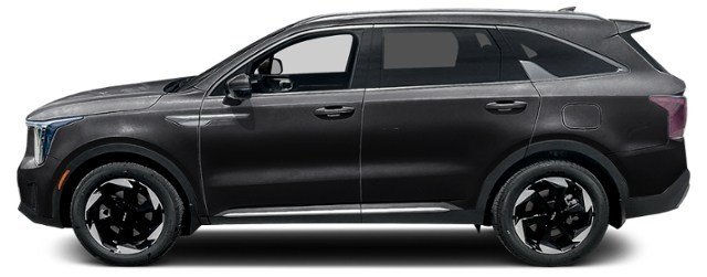 Aurora Black Pearl [Black]
