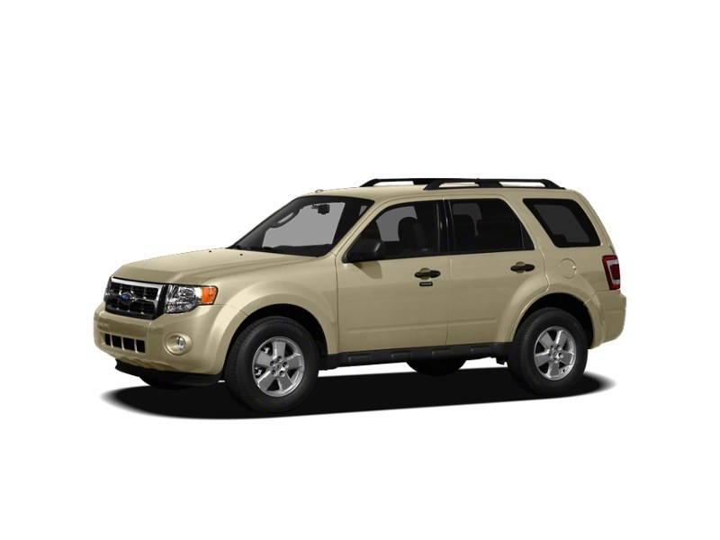 2011 Ford Escape XLT Automatic 2.5L Gold Leaf Metallic  Shot 6