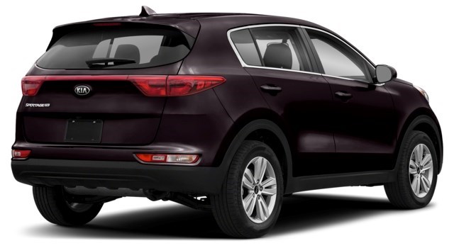 Black Cherry [Black]