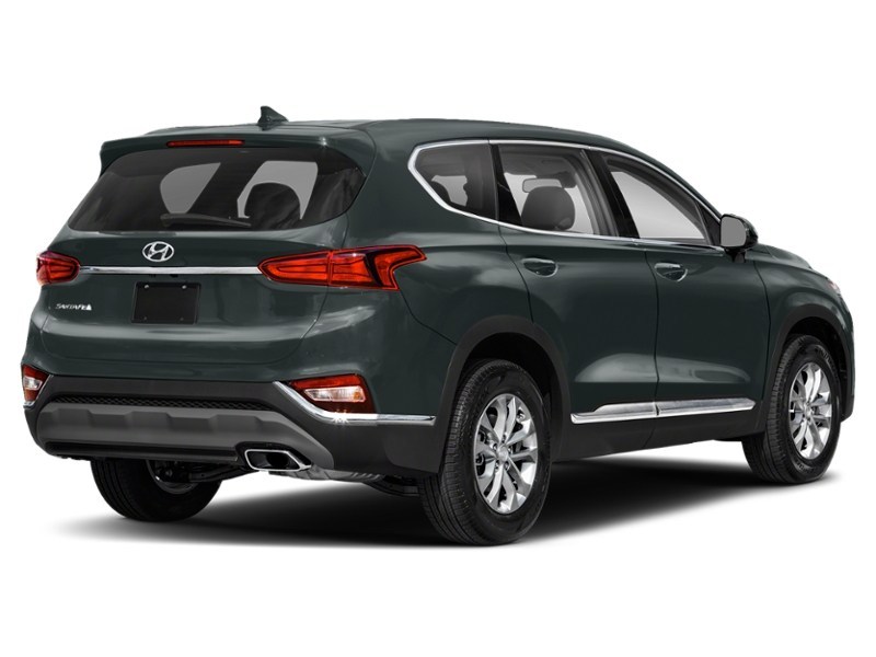 2020 Hyundai Santa Fe Luxury 2.0 Rainforest  Shot 30