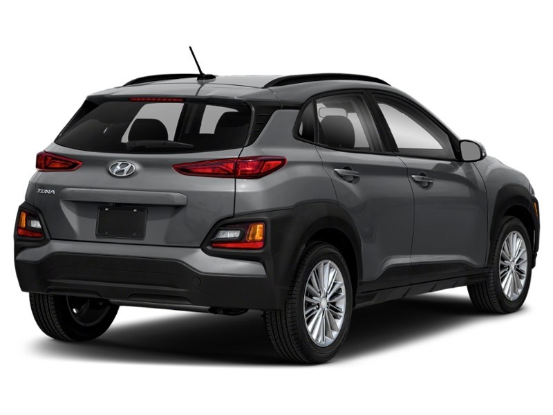 2018 Hyundai Kona 2.0L Luxury (A6) Lake Silver  Shot 6