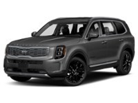 2020 Kia Telluride SX Gravity Grey  Shot 14