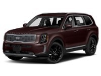 2020 Kia Telluride SX Sangria  Shot 15