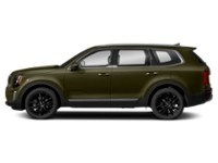 2020 Kia Telluride SX Dark Moss  Shot 10