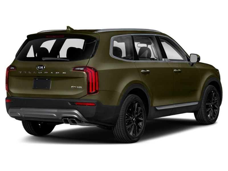 2020 Kia Telluride SX Dark Moss  Shot 9