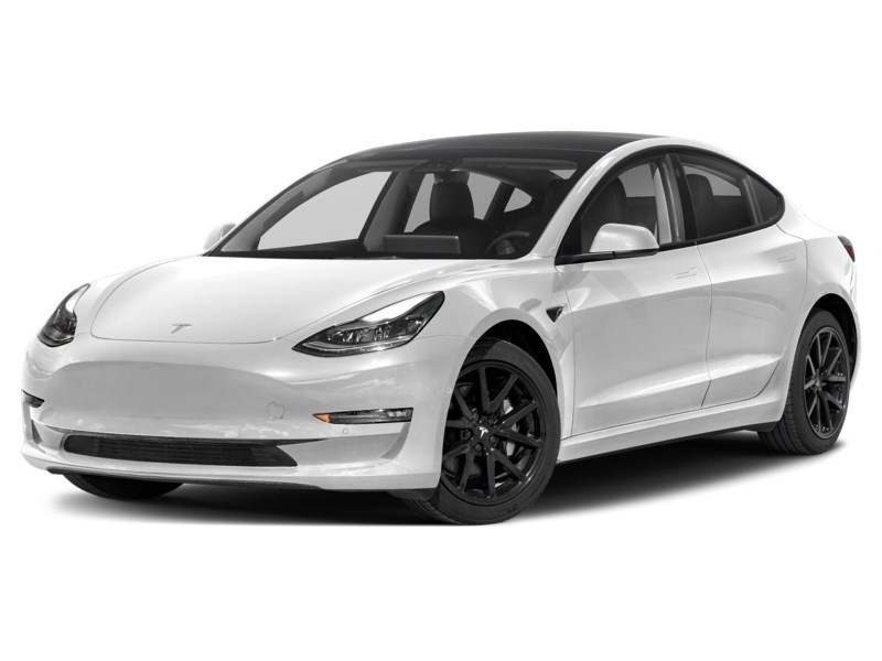 2023 Tesla Model 3 Base Pearl White Multi-Coat  Shot 28