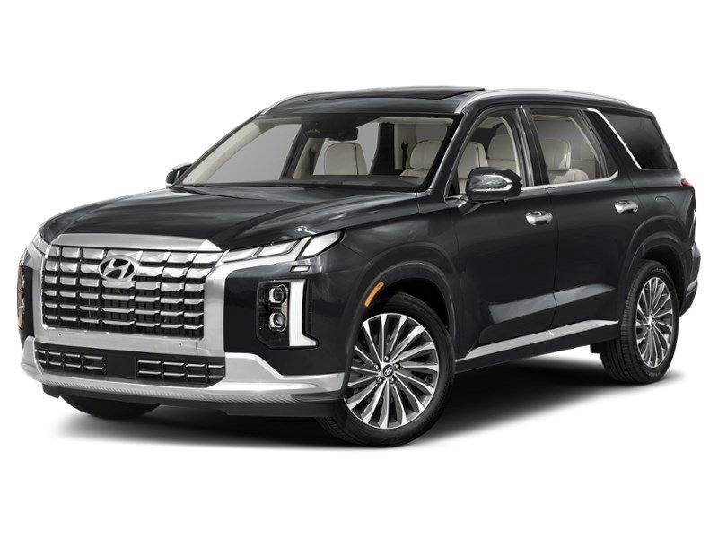 2024 Hyundai Palisade Ultimate Calligraphy w/Beige Interior Abyss Black  Shot 1