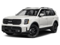 2024 Kia Telluride X-Line Glacial White Pearl  Shot 14
