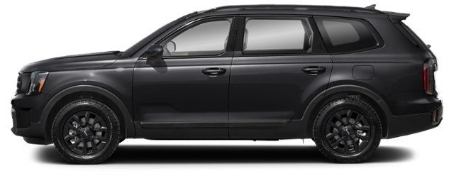 Ebony Black [Black]
