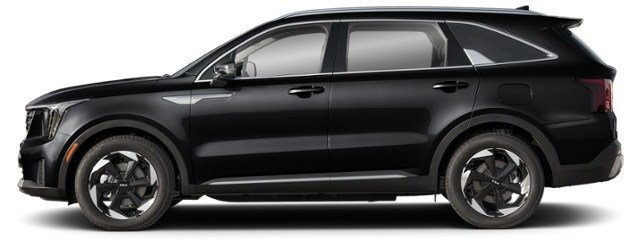 Aurora Black Pearl [Black]