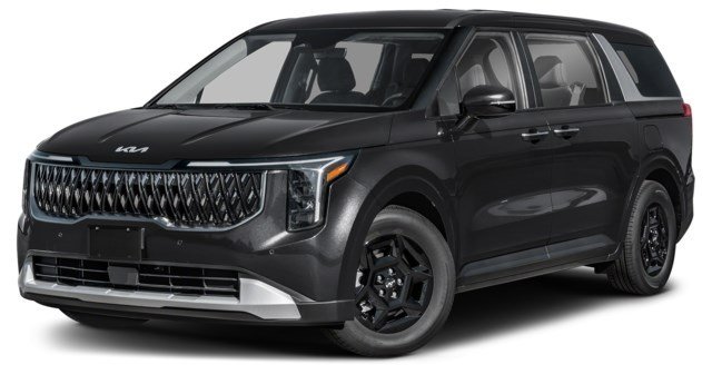 Aurora Black Pearl [Black]