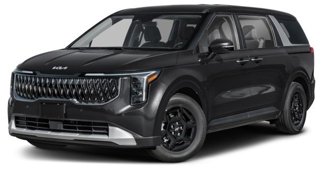 Aurora Black Pearl [Black]