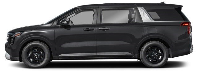 Aurora Black Pearl [Black]