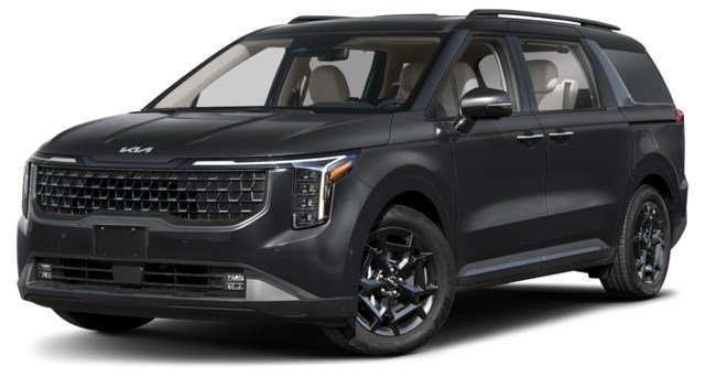 Aurora Black Pearl [Black]