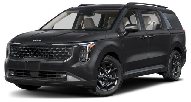 Aurora Black Pearl [Black]