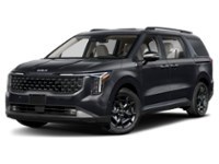 2026 Kia Carnival SX+ Thunder Grey  Shot 8
