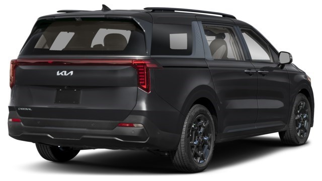 Aurora Black Pearl [Black]