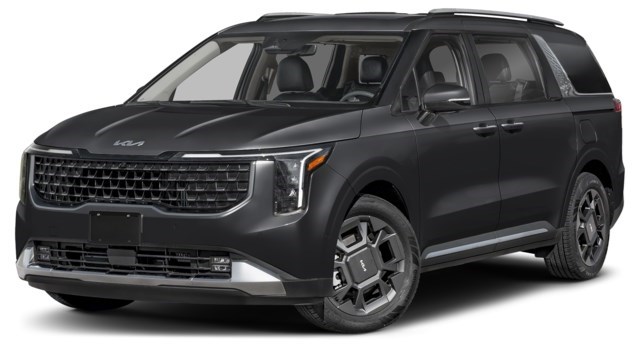 Aurora Black Pearl [Black]