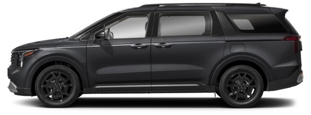 Aurora Black Pearl [Black]