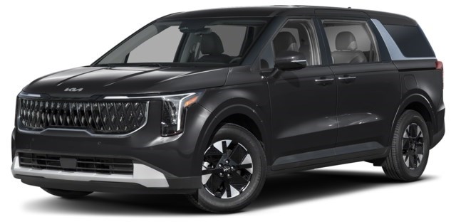 Aurora Black Pearl [Black]