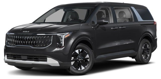 Aurora Black Pearl [Black]